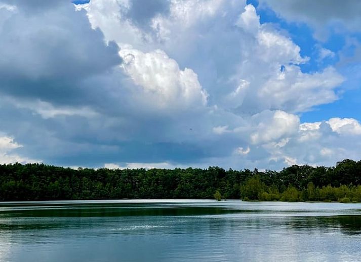 Spacious porch of the Cottage in Eeserveen, Drenthe surrounded by greenery.