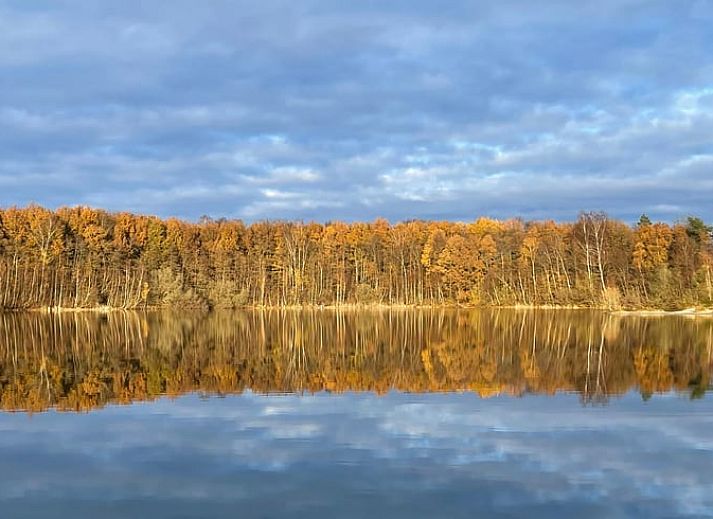 Spacious porch of the Cottage in Eeserveen, Drenthe surrounded by greenery.