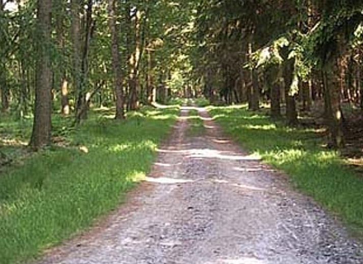 Spacious porch of the Cottage in Eeserveen, Drenthe surrounded by greenery.