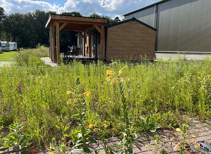 Cozy sitting area on the porch of Holiday Home in Eeserveen, Drenthe.