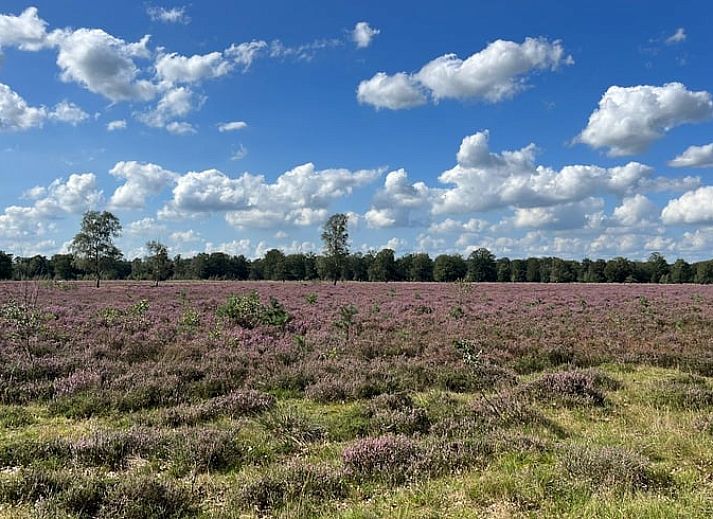 Cozy sitting area on the porch of Holiday Home in Eeserveen, Drenthe.