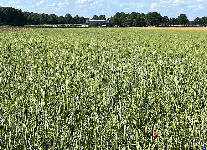 Cozy sitting area on the porch of Holiday Home in Eeserveen, Drenthe.