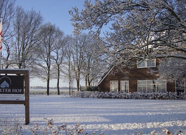 Gezellig terras bij Vakantiehuisje in Witteveen, gelegen in het groene hart van Midden Drenthe.