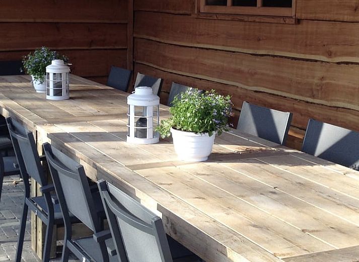 Winterlandschap rondom Vakantiehuisje in Witteveen, een charmant vakantiehuis in Drenthe.