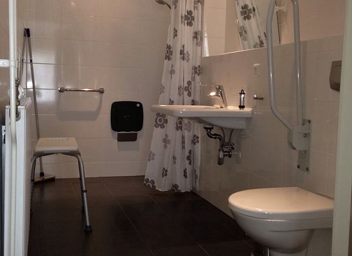 Speelplek en natuurlijke omgeving bij Vakantiehuisje in Witteveen, omgeven door de prachtige natuur van Drenthe.