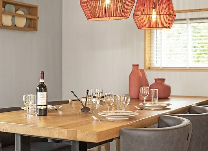 Stijlvolle open haard in Orveltermarke 4-persoons bungalow Notariswoning, Witteveen, Drenthe voor knusse avonden.