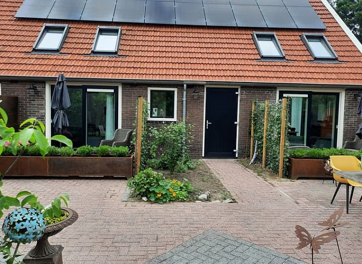 Charmanter Eingang zum Ferienhaus in Smilde, Zentral-Drenthe, mit offenen Fensterlaeden und Blumen.