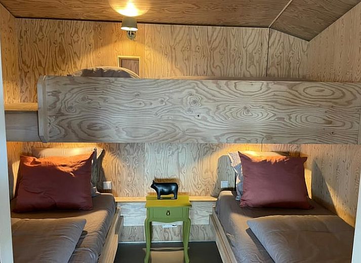 Aussenbereich mit Feuerstelle und Stuehlen im Ferienhaus in Odoorn, Zentral-Drenthe, Ferienhaus.