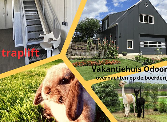 Verblijf 173610 • Vakantiewoning Midden Drenthe • Vakantiehuisje in Odoorn 