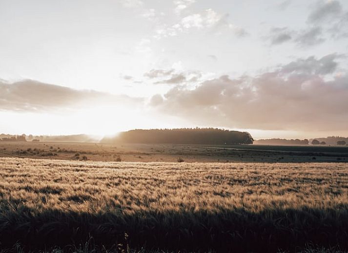 Geniet van de gezellige veranda bij Vakantiehuis in Odoorn, Midden Drenthe, ideaal voor ontspannen avonden.