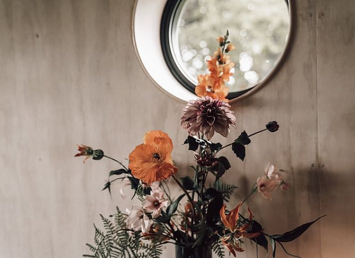 Adembenemend uitzicht op het Drentse landschap bij Vakantiehuis in Odoorn, perfect voor natuurliefhebbers.
