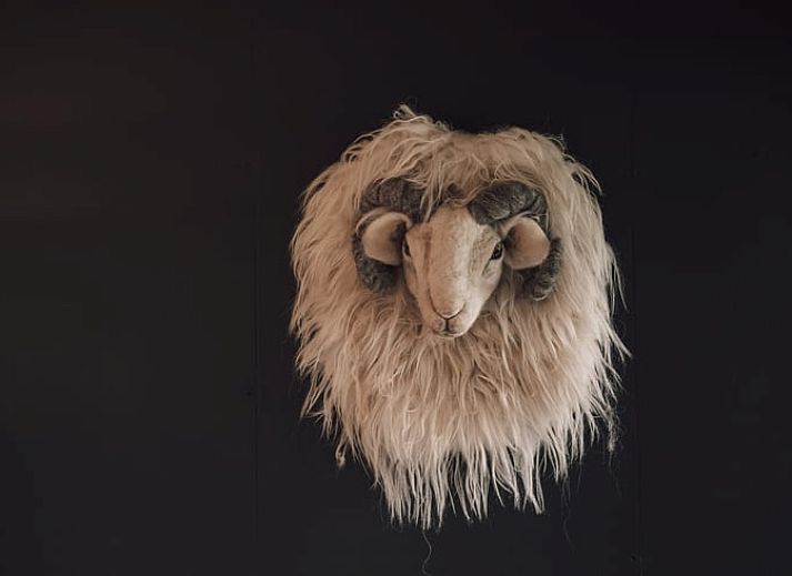 Charmante glamping lodge met veranda bij Vakantiehuis in Odoorn, Midden Drenthe, ideaal voor een rustieke ervaring.