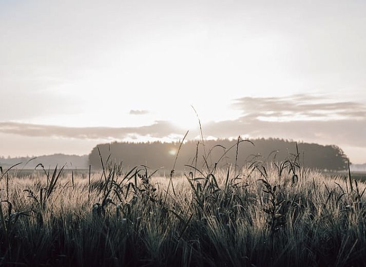 Gezellige zithoek buiten bij Vakantiehuis in Odoorn, Midden Drenthe, perfect voor een ontspannen pauze.