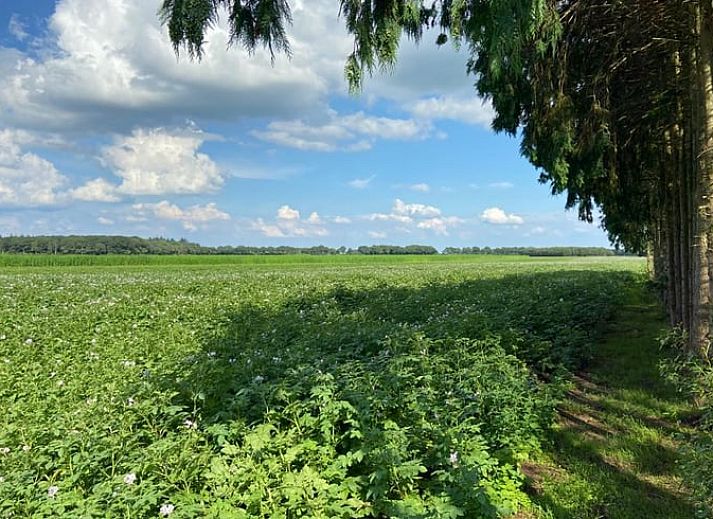 Verblijf 173615 - Vakantiewoning Midden Drenthe - Vakantiehuis in Odoorn