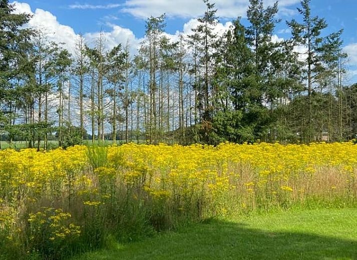 Verblijf 173615 - Vakantiewoning Midden Drenthe - Vakantiehuis in Odoorn