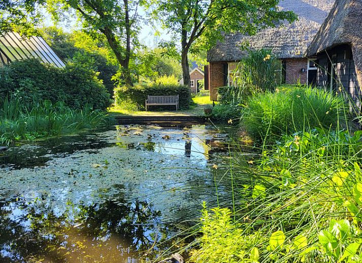 Guest house 173704 - Holiday property Midden Drenthe - Huisje in Garminge