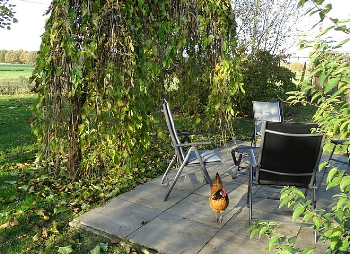 Ferienhaus in Geeuwenbrug, Midden Drenthe: charmantes Ferienhaus mit Garten und Terrasse, umgeben von Natur und Ruhe.
