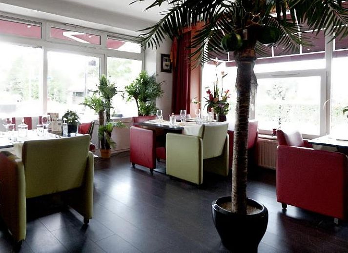 Guest house 173903 - Apartment Zuid Limburg - Hotel Cuba Libre