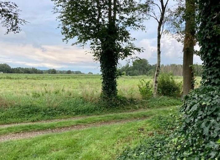 Huisje in Nieuw Balinge, vakantiehuis omgeven door groen in Midden Drenthe, ideaal voor natuurliefhebbers.