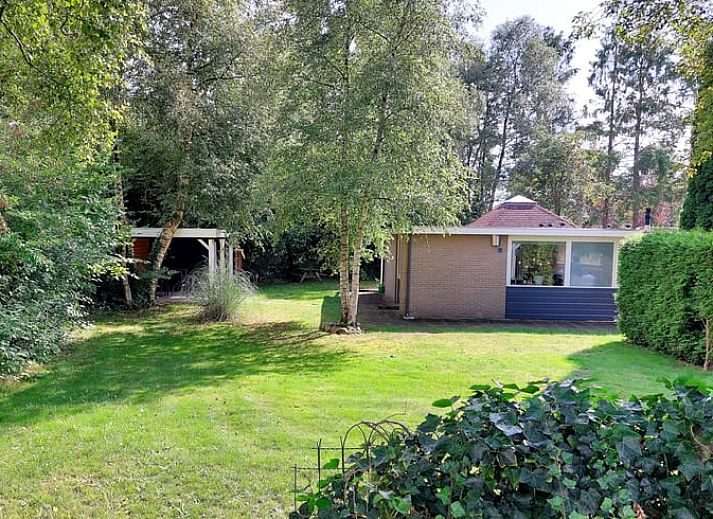 Decoratief vogeltje bij Huisje in Nieuw Balinge, vakantiehuis in de natuur van Midden Drenthe.