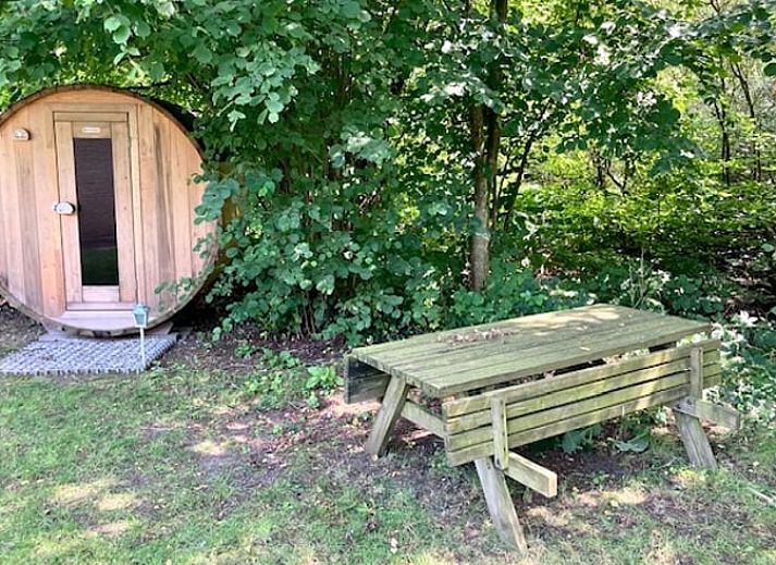 Zonnig terras bij Huisje in Nieuw Balinge, vakantiehuis in de groene omgeving van Nieuw-Balinge.