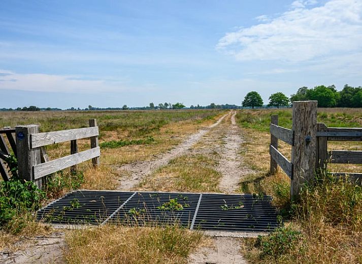 Zonnig terras bij Huisje in Nieuw Balinge, vakantiehuis in de groene omgeving van Nieuw-Balinge.