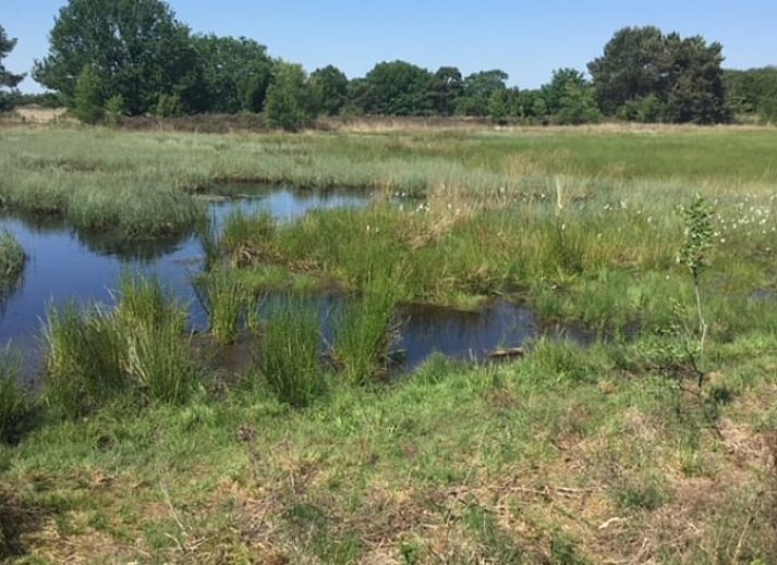 Aangename tuin bij Huisje in Nieuw Balinge, vakantiehuis met terras in Midden Drenthe.