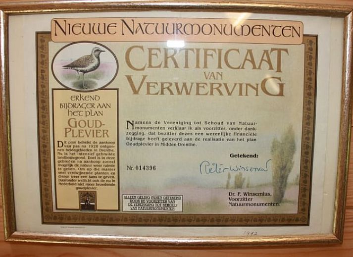 Grosszuegige Rasenflaeche mit Terrasse und Pavillon am Ferienhaus in Nieuw Balinge, ideal fuer Aktivitaeten im Freien.