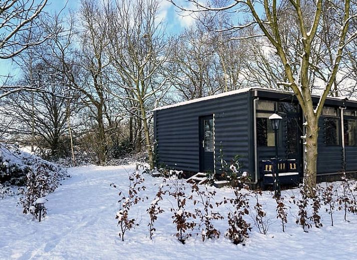 Gemuetlicher Innenbereich des Huisje in Nieuw Balinge, Ferienhaus in Zentral-Drenthe, mit stimmungsvollem Dekor und warmen Farben.
