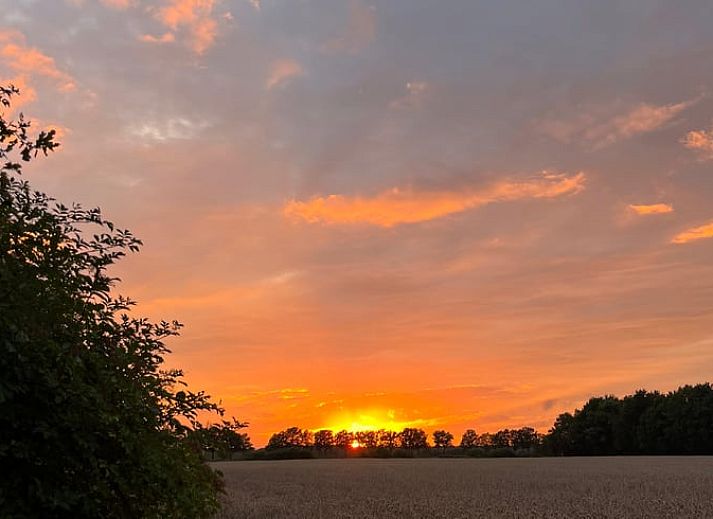Naturreiche Aussicht vom Cottage in Nieuw Balinge, Ferienhaus in Zentral-Drenthe, mit grasendem Wild im Hintergrund.