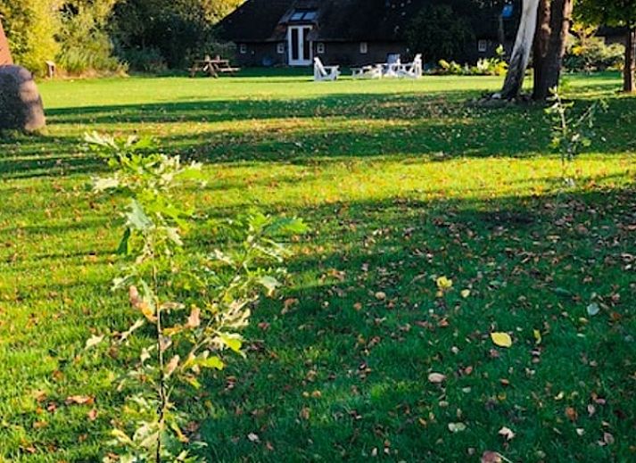 Unterkunft 174001 - Ferienhaus Midden Drenthe - Vakantiehuisje in Westdorp
