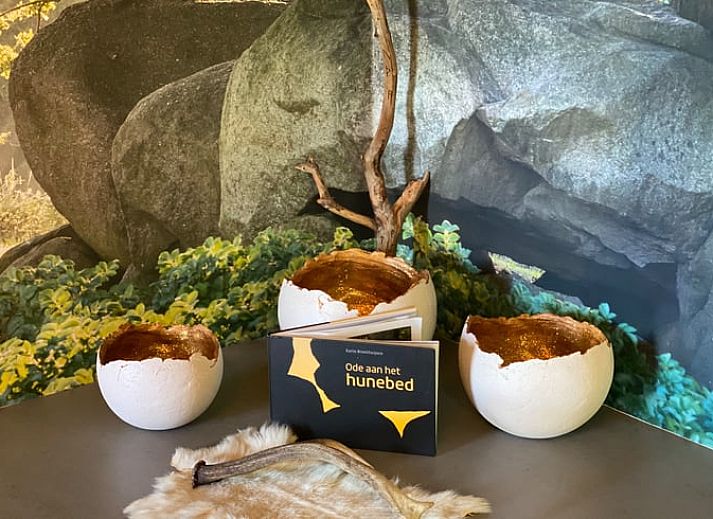 Moderne keuken in Vakantiehuisje in Westdorp, Midden Drenthe, perfect voor culinaire avonturen.