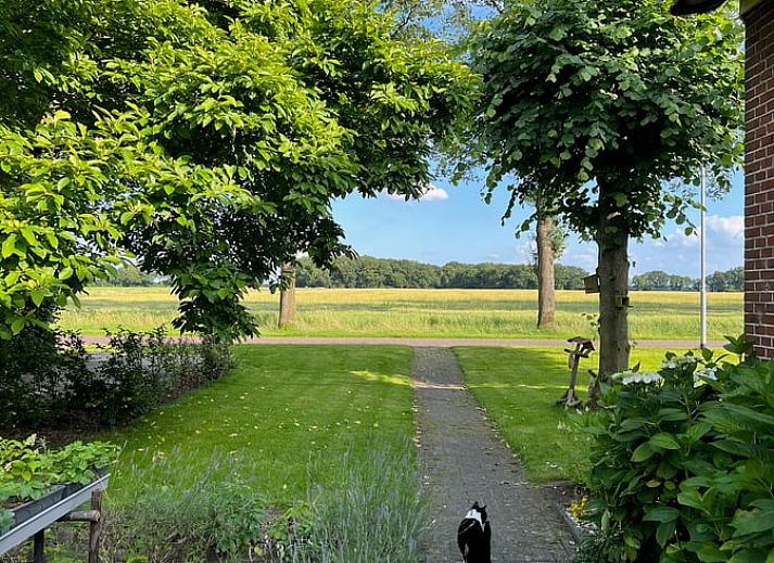 Gezellige woonkamer in Huisje in Westdorp, vakantiehuis in Midden Drenthe met comfortabele zitplaatsen en rustieke inrichting.