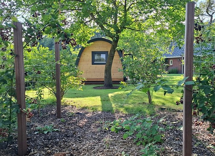 Ferienhaus in Westdorp, Zentral-Drenthe mit charmanter Holzfassade und gruenem Garten.