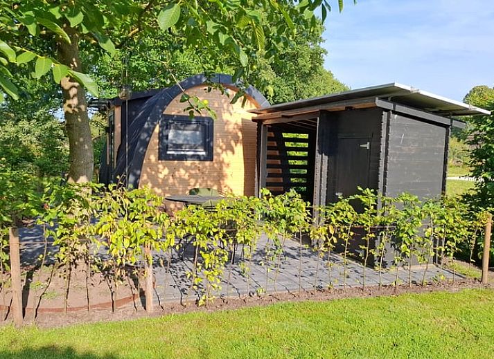 Rustikales Ferienhaus in Westdorp, Zentral-Drenthe, umgeben von ueppiger Natur.