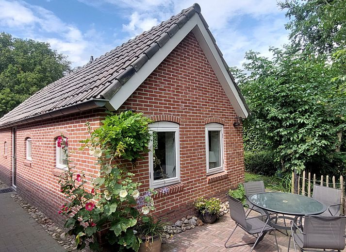 Guest house 174009 - Holiday property Midden Drenthe - DG1845