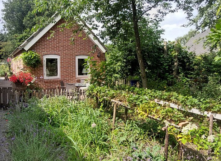 Guest house 174009 - Holiday property Midden Drenthe - DG1845