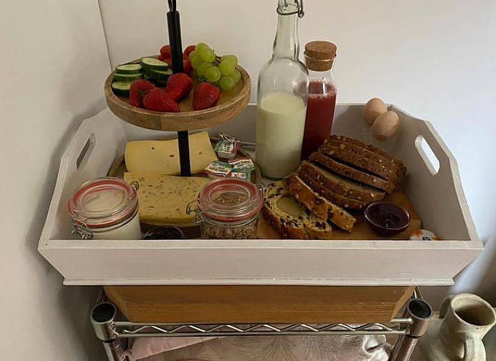 Aussenansicht des Ferienhauses in Balloerveld, umgeben von viel Gruen in Midden Drenthe, Drenthe.