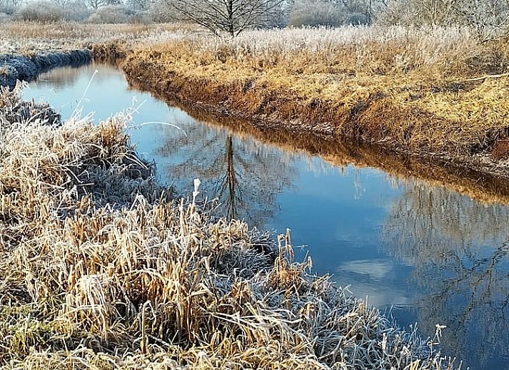 Gemuetliche Essecke im Ferienhaus in Balloerveld, ideal fuer Mahlzeiten in Midden Drenthe, Drenthe.