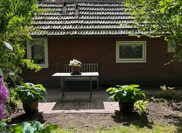 Gemuetliche Essecke im Ferienhaus in Balloerveld, ideal fuer Mahlzeiten in Midden Drenthe, Drenthe.