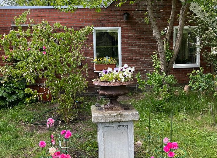 Gemuetliche Essecke im Ferienhaus in Balloerveld, ideal fuer Mahlzeiten in Midden Drenthe, Drenthe.
