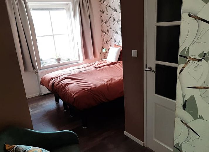 Gemuetlicher Aussenbereich im Ferienhaus in Wezup, mit bluehenden Pflanzen in Zentral-Drenthe.