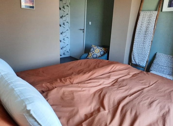 Gemuetlicher Aussenbereich im Ferienhaus in Wezup, mit bluehenden Pflanzen in Zentral-Drenthe.