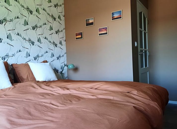 Gemuetlicher Aussenbereich im Ferienhaus in Wezup, mit bluehenden Pflanzen in Zentral-Drenthe.