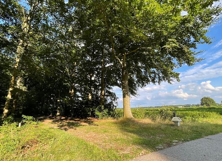 View from Cottage in Wezup, Middle Drenthe, over fields and nature.