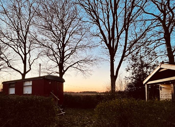 View from Cottage in Wezup, Middle Drenthe, over fields and nature.