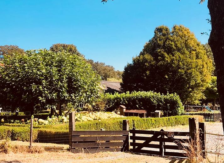 Unterkunft 174602 - Ferienhaus Midden Drenthe - Vakantiehuisje in Zuidveld
