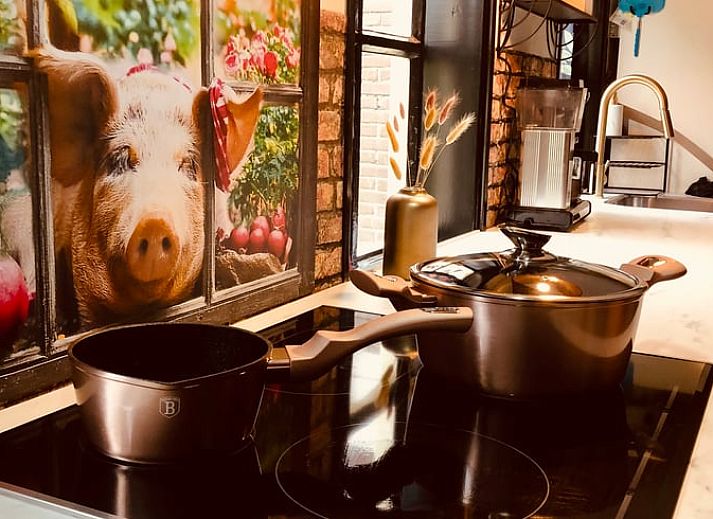 Unterkunft 174602 - Ferienhaus Midden Drenthe - Vakantiehuisje in Zuidveld