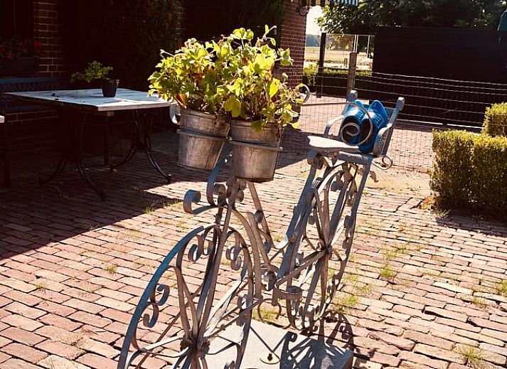 Unterkunft 174602 - Ferienhaus Midden Drenthe - Vakantiehuisje in Zuidveld