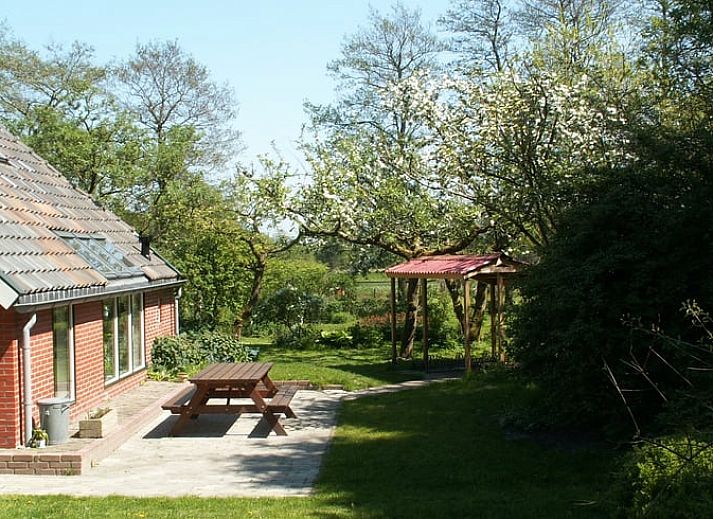 Guest house 180106 - Holiday property Noord Drenthe - Huisje in Peize
